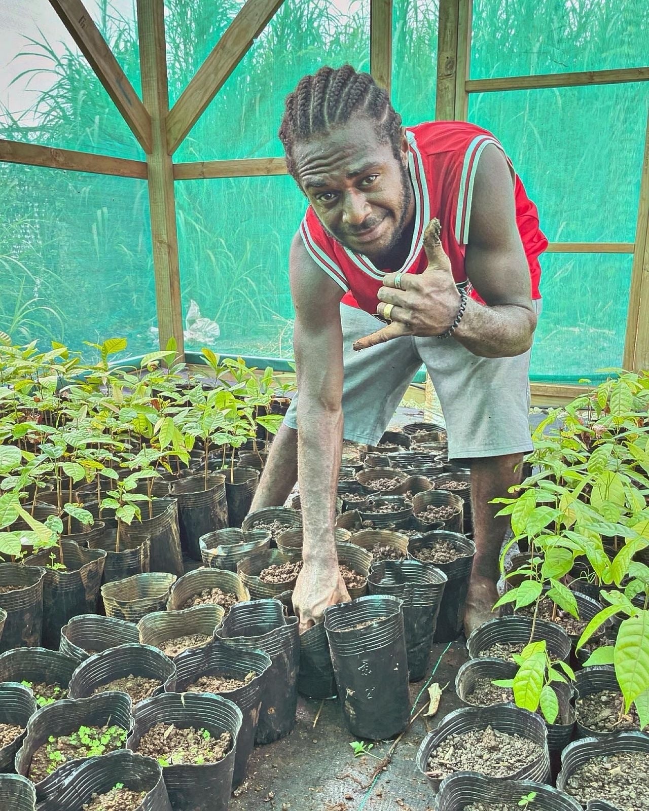 How Gaston Chocolate is replanting the future for Vanuatu cocoa